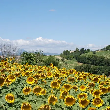 Profumo Delle Marche Bed & Breakfast