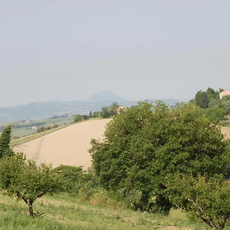 Profumo Delle Marche Montefano