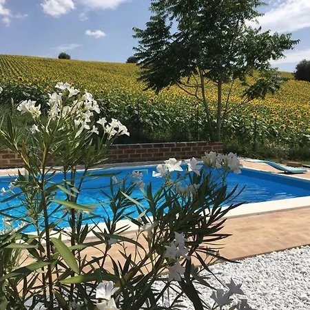 Bed & Breakfast Profumo Delle Marche 3*